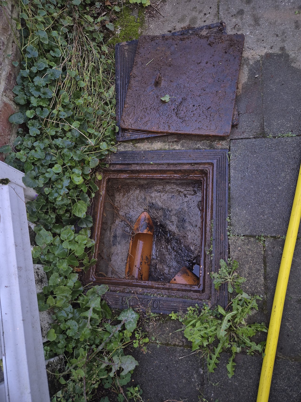 Chambre de visite ouverte et canalisation visibles lors d’une intervention M&S Débouchage